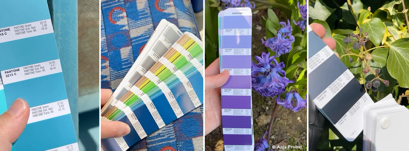 Colour Walks: Das beste Moodboard, das Sie noch nicht nutzen