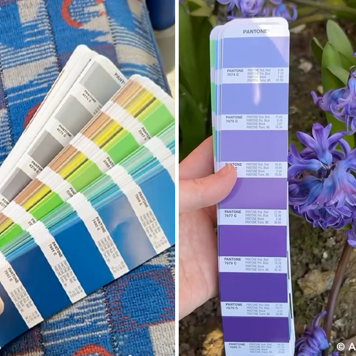 Colour Walks: Das beste Moodboard, das Sie noch nicht nutzen