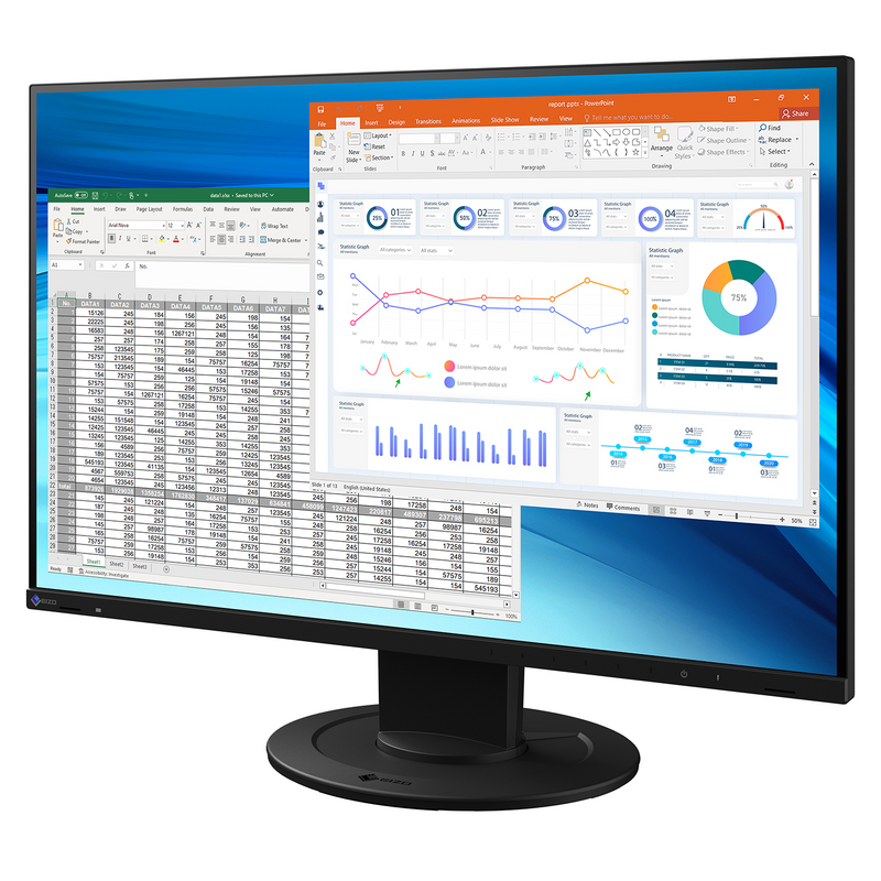 EIZO FlexScan EV2410R 24,1" WUXGA Monitor – Schwarz
