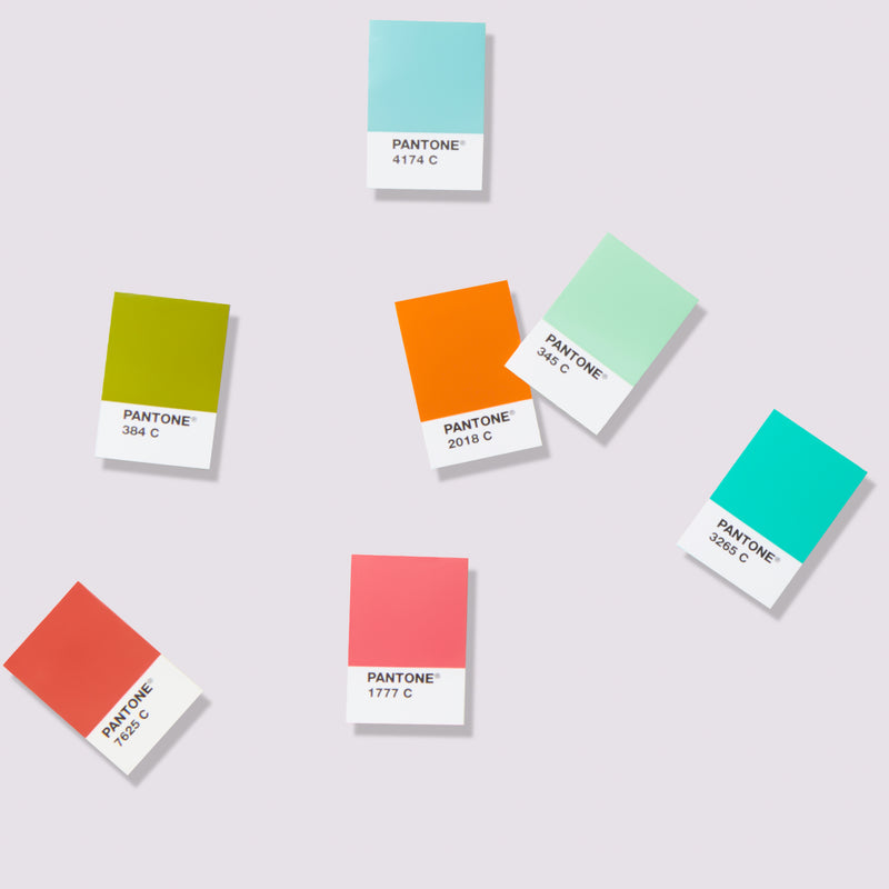 PANTONE Solid Chips Set gestrichen und ungestrichen