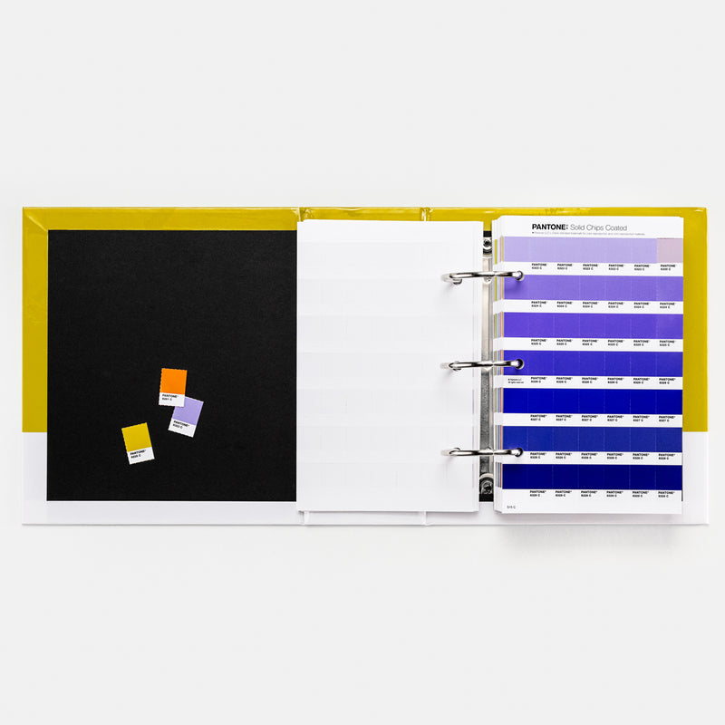 PANTONE Solid Chips Set gestrichen und ungestrichen