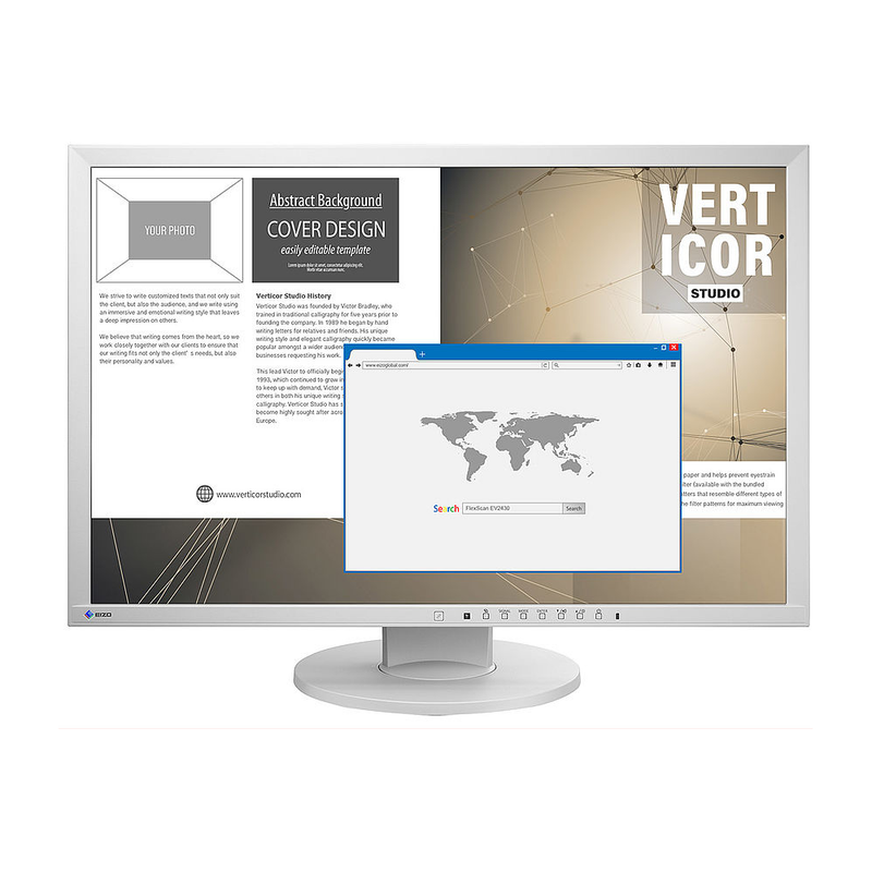 EIZO EV2430 24-Zoll FlexScan Monitor - Grau