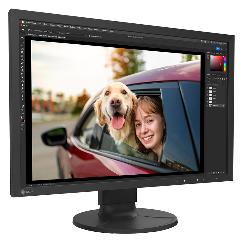 Moniteur Eizo ColorEdge CS2400R 24 pouces