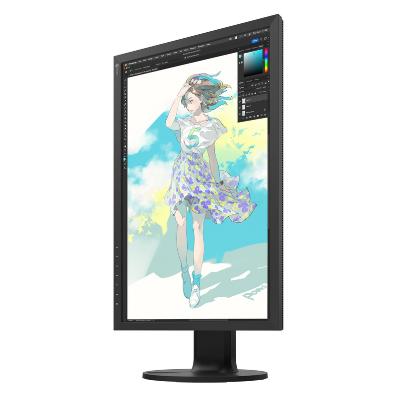 Moniteur Eizo ColorEdge CS2400R 24 pouces
