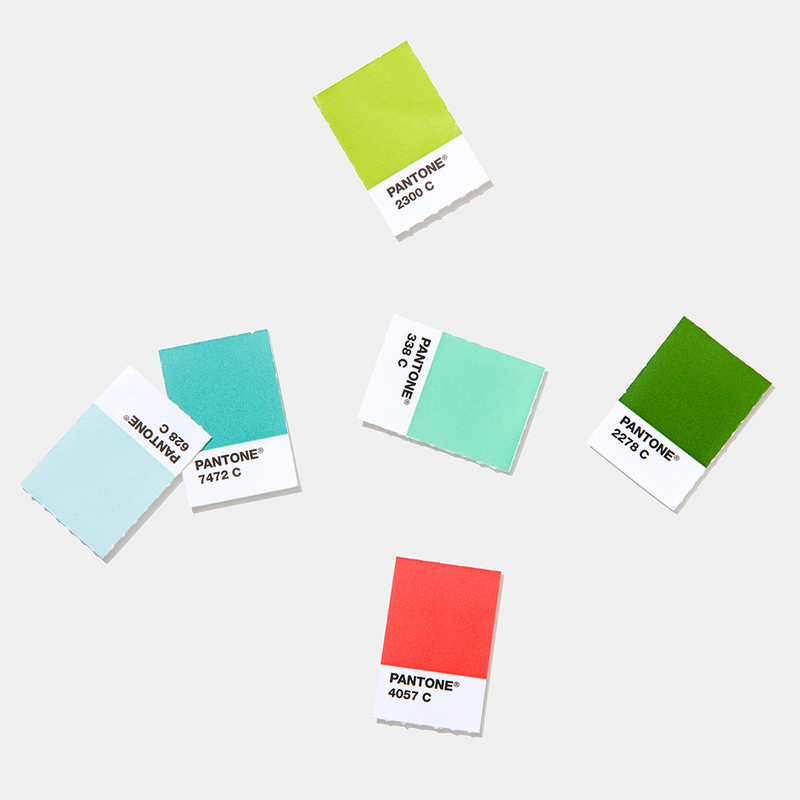 PANTONE Solid Chips Ersatzseite - Coated