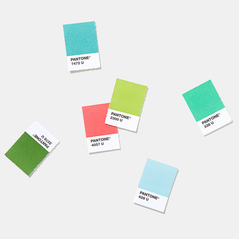 Pages de remplacement PANTONE Solid Chips - Non couchées