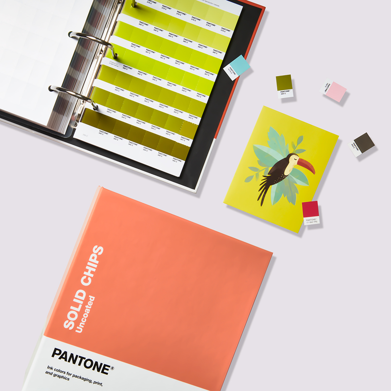PANTONE Solid Chips Coated and Uncoated — grafipress PANTONE Solid Chips Coated and Uncoated — grafipress