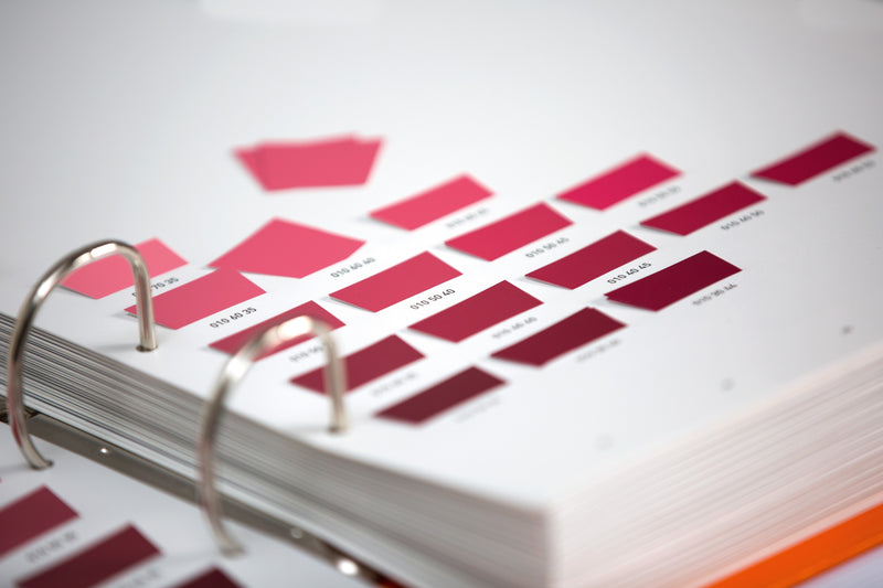 Classeur à anneaux RAL D3 Color Toolbook